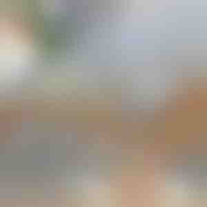 Mitmefunktsionaalne köögiviljalõikur | SLICEIEST (4 tera TASUTA)