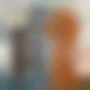 Lemmikloomade karvade lõikuri komplekt | GULAMACHINE