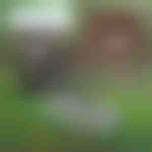 Mitmeotstarbeline aiatööriist mulla hooldamiseks | PRONGSPRO