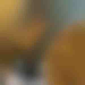 Oks valgustid | BRANCHLUMOS