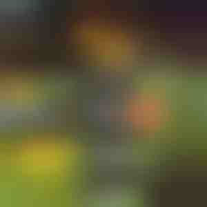 4-osaline veekindel päikesepaneelide valgustite komplekt | EDGELIGHTS