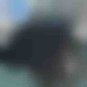 Pööratav istmepadi | SPINPAD