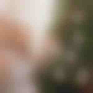 Jõulukaunistused (4tk) | WEALTHMAS