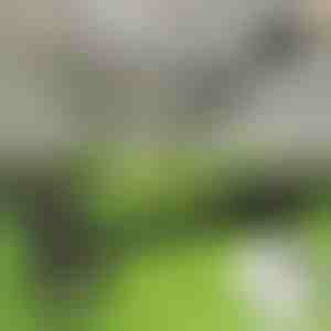 Püstine umbrohueemaldaja | RUNCO