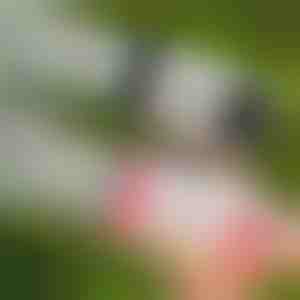 69-auguga LED mullipüstol | BUBBLEPUFF