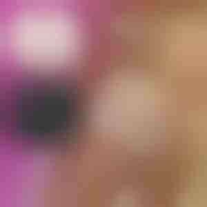 Naiste lillelised pitsilised aluspüksid (3tk) | LACEY