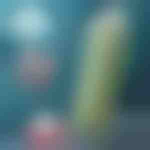 Kokkupandav pudel | FOLDSIP