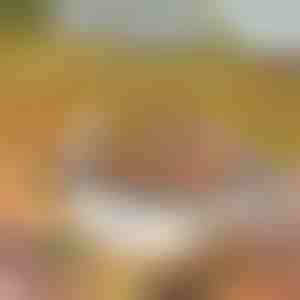 Kaasaskantav grill | GRILLSTER