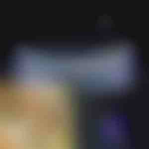 Öösel Helendav Koerarihm i PETSHINE