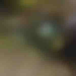 Kokkupandav käru | TROLLYFOLD