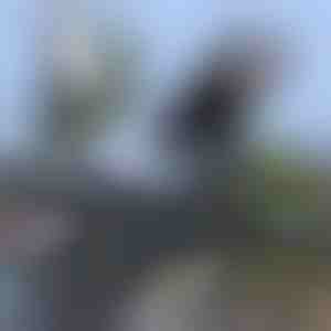 Universaalne veekindel jalgratta telefonihoidja | BRACKZPHONE