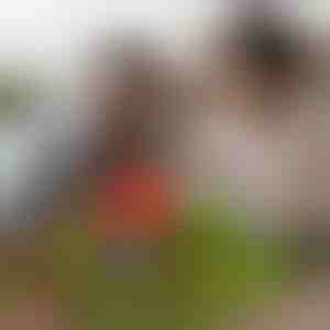 Magnetilised kuubikud (48 tk) | MAGCRAFTI