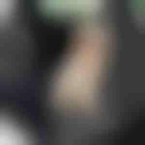 Koerte veekindel auto tagaistme kate | CARIPET