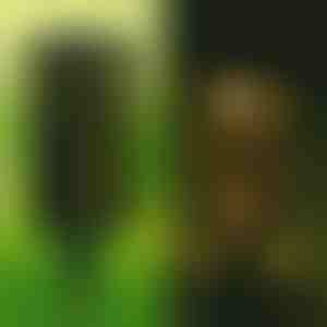 Decoratove päikeselamp (2 tk) | GARDENIAS