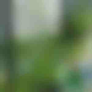 Kunstmuruplaadid dekoratsiooniks (5 tk) | GRASSTILE