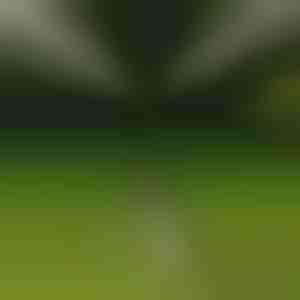 Pöörlev kolmjalgpihusti | HYDRASPRINK