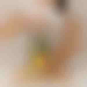 Vaevatu ananassilõikur | PINECUT