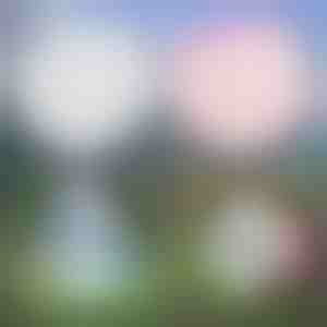 Mitmeotstarbeline täispuhutav mull | SLIMEBUB