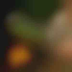 Rullgrillkorv | ROLOGRILL