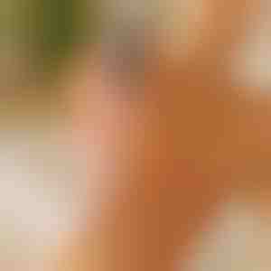 Elektriline jalaviil | PEDIVIA