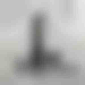 Mitmekülgne hooldusmasin | SHAVIX