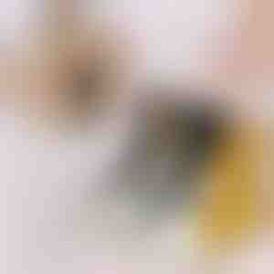 Kassisokid (3tk) | GATOSOCKS