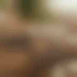 Magnetiline isekleepuv kaablite korraldaja (12 tk) | CABLIP