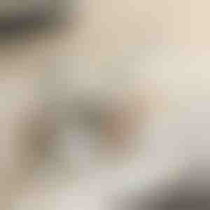 Imitassiga duširiiul | LUXSHELF