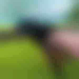 Tugev kaablisidemete tööriist | ZIPFLEX