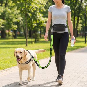 Kantav koerajooksurihm | DOGZIP